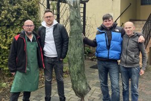 Fermata LUKAS Choinki świąteczne 2024 1