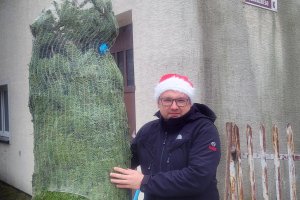 Fermata LUKAS Choinki świąteczne 2024 3