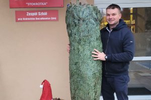 Fermata LUKAS Choinki świąteczne 2024 5