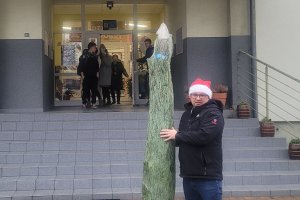 Fermata LUKAS Choinki świąteczne 2024 7